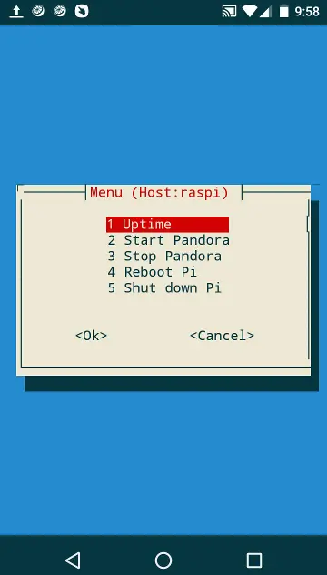 rmenu pandora